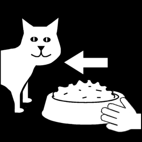 kat eten geven
